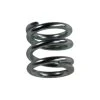Shocker VIEW ALL PARTS Regulator Spring - SPR034